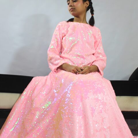 StarLight Sequence Lehanga Choli